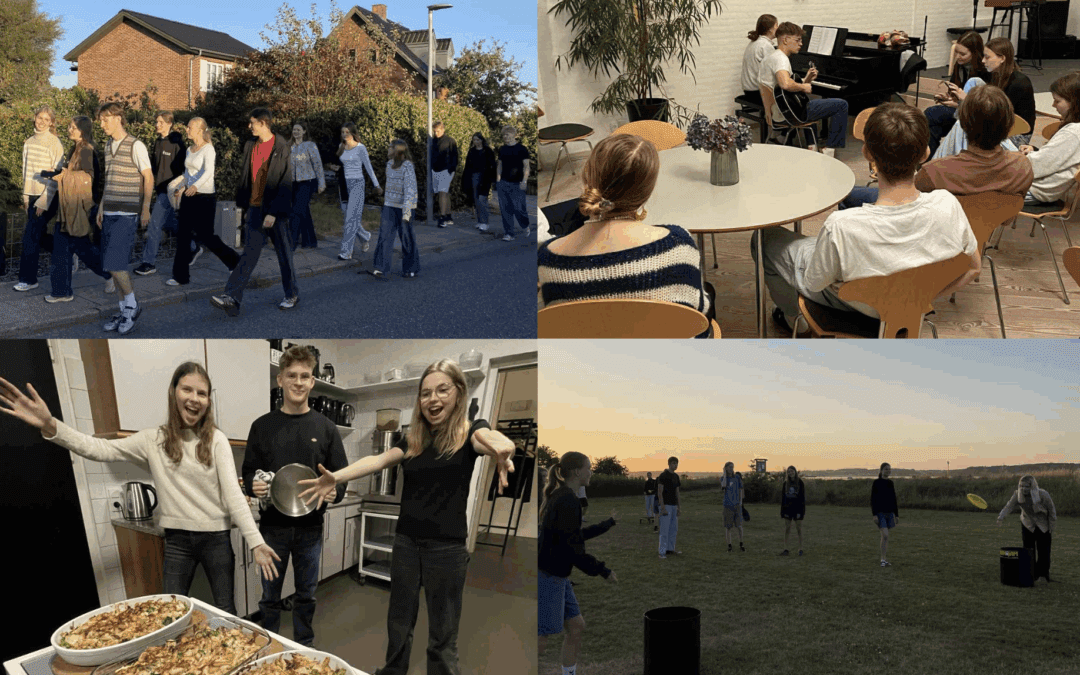 IMU (ungdomsfællesskab)